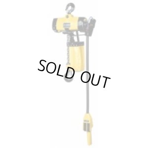 画像1: EHL-049TS-PCS-1  エアーホイスト チェーン式  遠藤工業 ENDO 【送料無料】【激安】【セール】