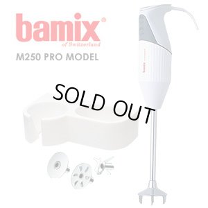 画像1: M300 バーミックス・ガストロ M250後継 バーミックス(bamix) 【送料無料】【激安】【セール】