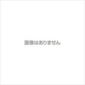 画像1: PTS-30A-PW4-F-A1　タンク タクミナ    