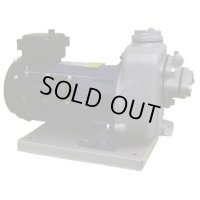 MP4N-0071R-200V-50HZ(モートルツキ) 陸上ポンプ（鋳鉄製） 寺田ポンプ製作所(TERADA)    【送料無料】【激安】【セール】