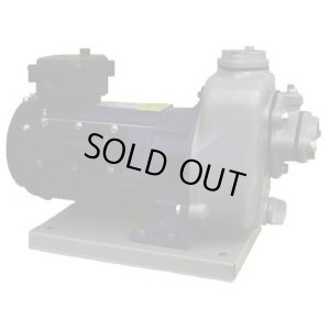 画像1: MP2N-0021R-100V-60HZ(モートルツキ)　陸上ポンプ（鋳鉄製） MP2N-0021R-100V-60HZ(モートルツキ)　TERADA 寺田ポンプ製作所(TERADA)　【送料無料】【激安】【セール】