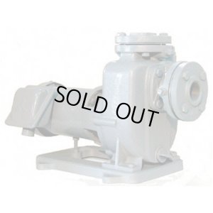 画像1: MPJ4-52.21E(モートルツキ50HZ) 陸上ポンプ（鋳鉄製） MPJ4-52.21RNの後継 TERADA 寺田ポンプ製作所(TERADA)　【送料無料】【激安】【セール】