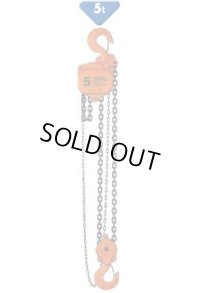 VP5-50 チェーンブロックVP5シリーズ(荷役・荷締機)　3.0m VITAL バイタル工業 【送料無料】【激安】【セール】