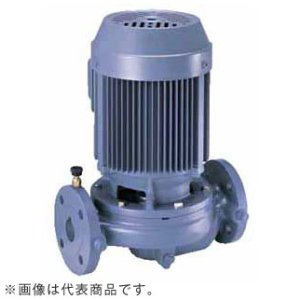 画像1: 25LPD5.15 エバラ IE3ポンプ 25LPD5.15 (0.15KW 200V 50Hz) 荏原製作所(EBARA)