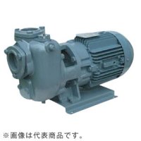 25SQFD6.25B エバラ IE3ポンプ 25SQFD6.25B(0.25KW 200V 60Hz) 荏原製作所(EBARA)