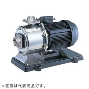 画像1: 32MDPE25.4S エバラ IE3ポンプ 32MDPE25.4S (0.4KW 100V 50Hz) 荏原製作所(EBARA)