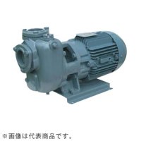 40SQED6.4B エバラ IE3ポンプ 40SQED6.4B(0.4KW 200V 60Hz) 荏原製作所(EBARA)