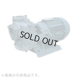 画像1: 40SQED6.4S エバラ IE3ポンプ 40SQED6.4S (0.4KW 100V 60Hz) 荏原製作所(EBARA)