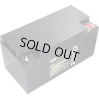HP65-12A 鉛蓄電池 標準タイプ HPシリーズ NP65-12相当 12V/65Ah 日立化成 エナジーウィズ