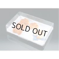 DPET0101 ペストリートレー　０８４１.００ 11-0211-0401 ホワイトサム