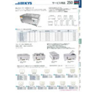 画像1: ESN-11WT 電気卓上ウォーマー　ＥＳＮ－１１ＷＴ  FFDW1302 エイシン