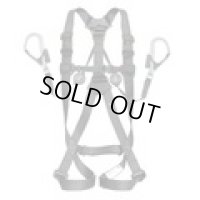 A3GSLER-WL2BK （メーカー欠品中要納期確認）ハーネスＧＳ　Ｌ　クロ　ＥＲ１５０ダブルＬ２セット　　１２５ＫＧヨウ  TJMデザイン(タジマ