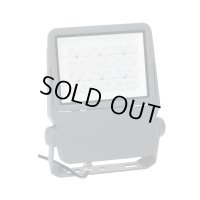 PDS-CS01-40FL LEDプロジェクションライト（投照器・同期型） デンサン ジェフコム 4937897136221