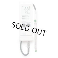 HI99191 低導電率水のpH/ ℃計  HANNA（ハンナ）