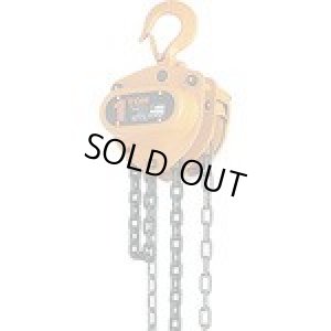 画像1: CBSP020 TSP形プレントロリ結合形  チェーンブロック キトー(KITO)