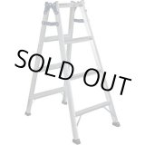 画像: PRS-120WA 兼用脚立　ワイドステップ（５５ｍｍ）  アルインコ