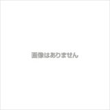 画像: ミートチョッパー12VR-250SDX用　ナイフ  飯塚工業 喜連ローヤル