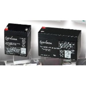 画像: PXL12050J-FR GSユアサ GSユアサ製 畜電池（長寿命タイプ） RE5-12の後継