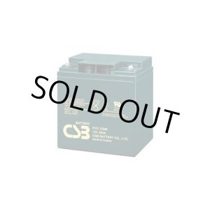 画像: EVX12300 バッテリー サイクルサービス用 EVXシリーズ  12V/30Ah CSB