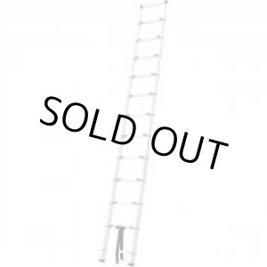 画像: MW39A たけのこハシゴ（シルバー）  アルインコ