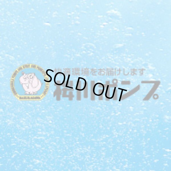 画像1: MP-255W 水中マグネットポンプ 桜川ポンプ製作所