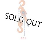 画像: NR2-60 ナイスレバーNR2　　1.5ｍ　レバーチェーンブロック荷締機  VITAL バイタル工業 【送料無料】【激安】【セール】