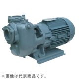 画像: 25SQFD5.25B エバラ IE3ポンプ 25SQFD5.25B(0.25KW 200V 50Hz) 荏原製作所(EBARA)