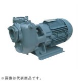 画像: 32SQFD5.25B エバラ IE3ポンプ 32SQFD5.25B(0.25KW 200V 50Hz) 荏原製作所(EBARA)