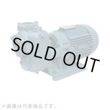 画像: 40SQED6.4S エバラ IE3ポンプ 40SQED6.4S (0.4KW 100V 60Hz) 荏原製作所(EBARA)