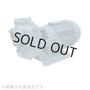 画像: 40SQED6.4S エバラ IE3ポンプ 40SQED6.4S (0.4KW 100V 60Hz) 荏原製作所(EBARA)