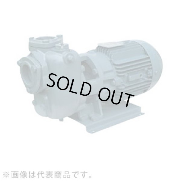 画像1: 40SQED6.4S エバラ IE3ポンプ 40SQED6.4S (0.4KW 100V 60Hz) 荏原製作所(EBARA)