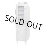 画像: AS-450E オートスチーマー EMSK1901 熱研