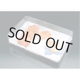 画像: DPET0101 ペストリートレー　０８４１.００ 11-0211-0401 ホワイトサム