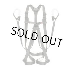 画像: A1GSLFR-WL1BK （メーカー欠品中要納期確認)ハーネスGS 平ロープ ダブルL1セット 黒 L  TJMデザイン(タジマ) 4975364261113