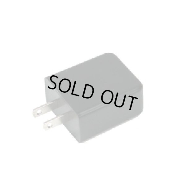 画像1: PLRX-40U-CG LEDパランドルRX用充電器（アダプタ）  ジェフコム 4937897045851