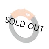 画像: SP-CM スチールパック　ケース  ジェフコム 4937897007583