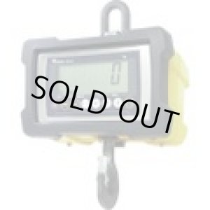 画像: DS204-1T テラオカ　クレーンスケール 寺岡精工 寺岡(TERAOKA)