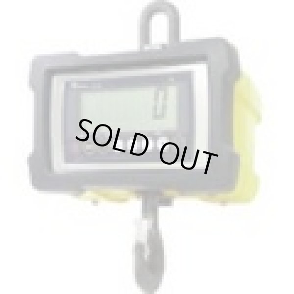 画像1: DS204-2T テラオカ　クレーンスケール 寺岡精工 寺岡(TERAOKA)