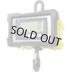 画像: DS204-3T テラオカ　クレーンスケール 寺岡精工 寺岡(TERAOKA)