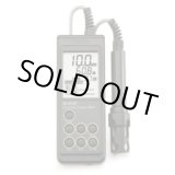 画像: HI9147N-15 ポータブル溶存酸素計（15mケーブル付）  HI 9147N-15 HANNA（ハンナ）