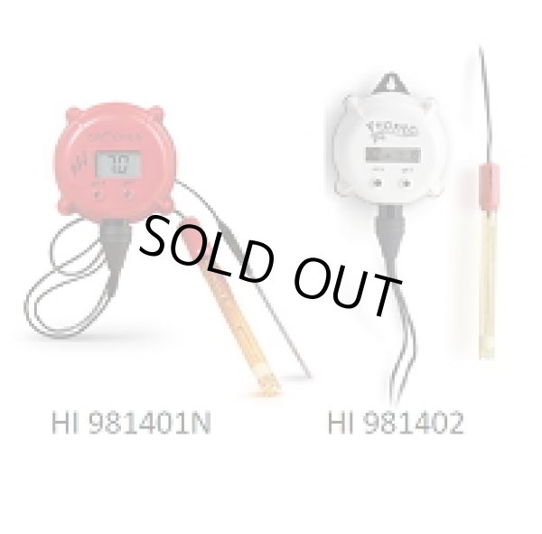 画像1: HI981402 壁掛け式pH指示計(プロントpH)  HANNA（ハンナ）
