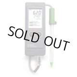 画像: HI99121N 土壌ダイレクトpH計  HANNA（ハンナ）