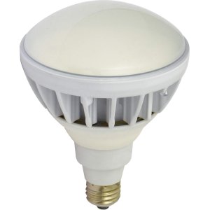 画像: L20W-JW110-50K エコビック20W  日動工業 4937305057131