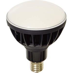 画像: L50V2-J110BK-50K ハイスペックエコビック50W  日動工業 4937305055458