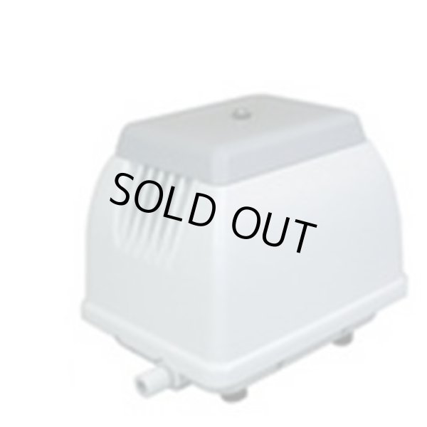 画像1: NIP-60L ポンプ 日本電興