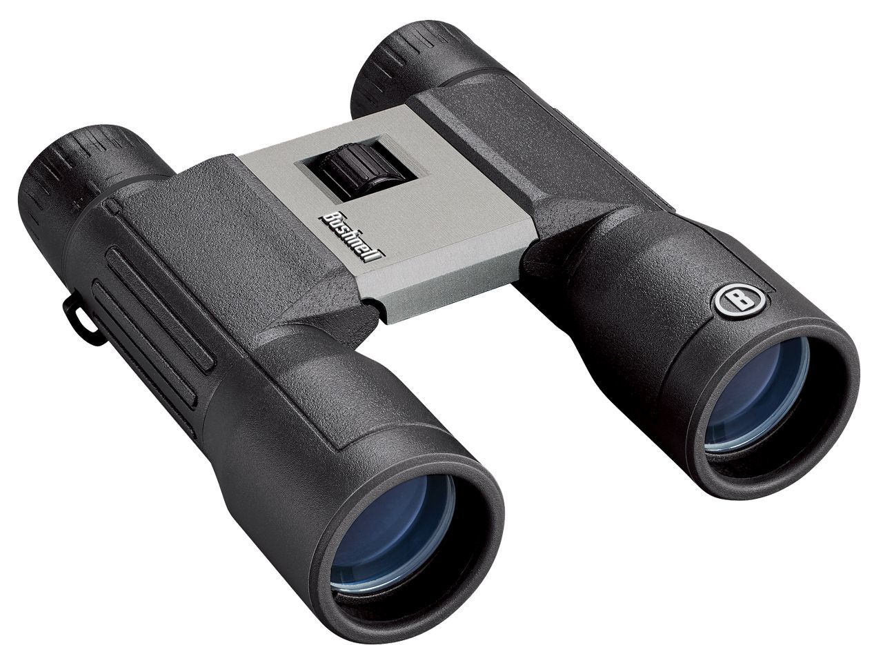 Bushnell(ブッシュネル) ブッシュネル ルビコン500RG